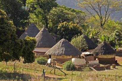 Thatch roofed dwellings in the homestead.